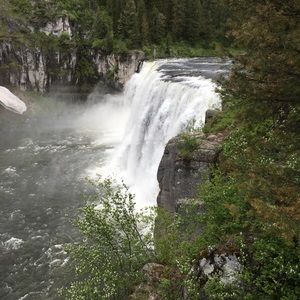 Meet your Posher, William